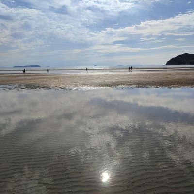 cha_pi123's profile picture. TW×JP | 広尾サラブレットで一口馬主挑戦中🐎 TCC引退競走馬会員| 馬の鼻が好き(*´ω｀*) | 2025/08~乗馬チャレンジ！