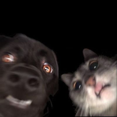 chengfu84's profile picture. 