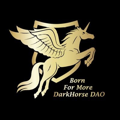 The universe is uncertain, We are DarkHorse !
Group Sub-Brand：
DarkHorse University、
DarkHorse DAO、
DarkHorse Army、
DarkHorse Accelerator