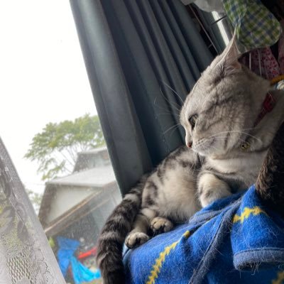 🐊ིྀ ハム太郎🐊ིྀさんのプロフィール画像