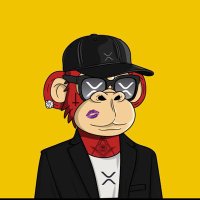 the HODL'n Style 🐳(@NARM_Investment) 's Twitter Profile Photo