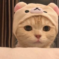 taTi_ (@mccarthyarcel11) 's Twitter Profile