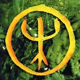 AmInsight's profile picture. 