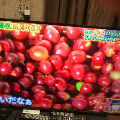 Pv3tM's profile picture. 興味旺盛、浅いけど多趣味だよーん