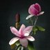 HİKMETDEMİRCAN8169 (@demircanhikmet_) Twitter profile photo HİKMETDEMİRCAN8169 (@demircanhikmet_) Twitter profile photo