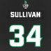 Ty Sullivan (@tysullivan77) Twitter profile photo Ty Sullivan (@tysullivan77) Twitter profile photo