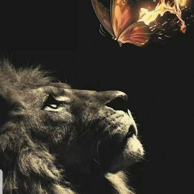 giovanna41583's profile picture. 