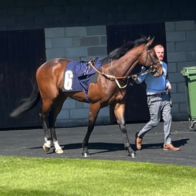 Horse racing mad. Owner of Scoops Ahoy . Keen cricket,rugby union fan and dad to 16 year old jack .