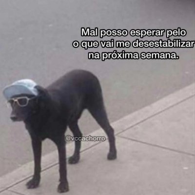 camilamcta's profile picture. Dos direitos humanos. Estou convicta de que viver é um ato político, mestre do amor e outras drogas, doutora com doutorado. Sei que estamos sendo vigiados.