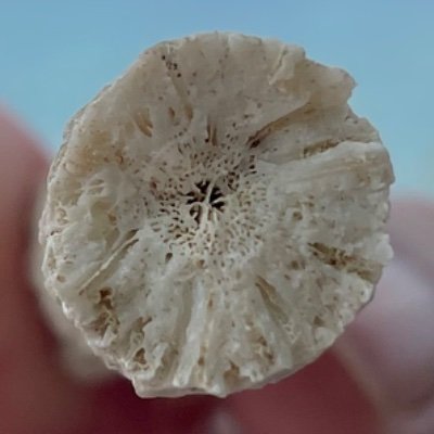 moodoofish's profile picture. Add a bio to your profile
