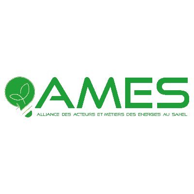 L’AMES  est une ONG ayant pour objet de contribuer à l’atteinte des Objectifs de développement durable et au soutien des couches les plus vulnérables au Sahel.