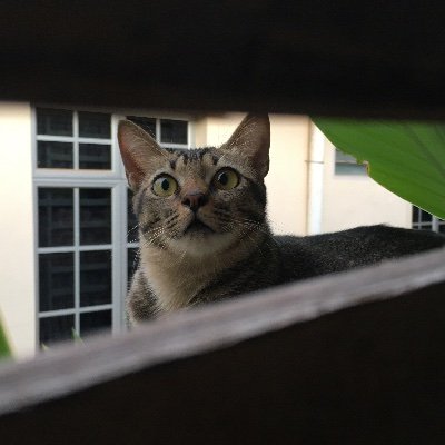 za_kiaaaaa's profile picture. 在睡觉