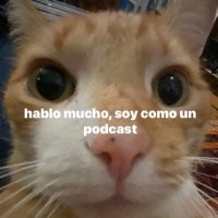 lau, só lau (@lauramansolelli) 's Twitter Profile