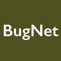 BugNet (@bugnet_research) 's Twitter Profile