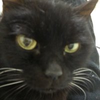 ないとぅ｜異端児なSaaS営業 (@ichi_vimcs) Twitter profile photo