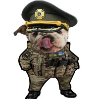 LT Schmuckatelli NAFO-OFAN 69th Sniffing Brigade(@happybags13) 's Twitter Profile Photo