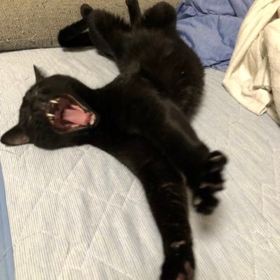 tsukimi_825's profile picture. 社畜の趣味垢。