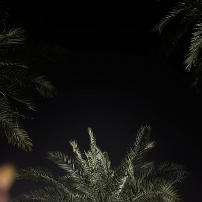 _shesho's profile picture. 