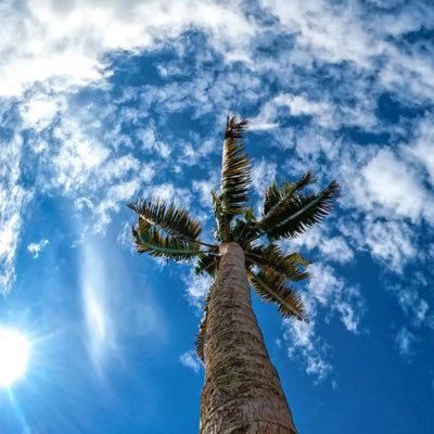 Jhayhe1's profile picture. Not available at the moment