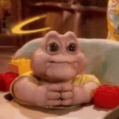 cnoguueira's profile picture. 