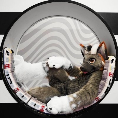 🦊🐐 | 🇧🇪 | Train Driver in Training | @FluufffCon IT Guy | @RadiopanelApp Owner | Telegram: HybridFox