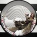 Felikx Van Saet (@felikxvansaet) Twitter profile photo Felikx Van Saet (@felikxvansaet) Twitter profile photo