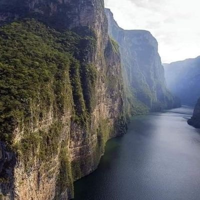 Mexicana entusiasta, amante de los libros y de la Historia. Casada con Cosme Villalpando y madre de 2 hijas.