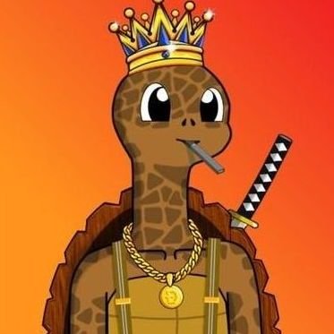 PtrckTrippe's profile picture. Invest / NFT / Crypto