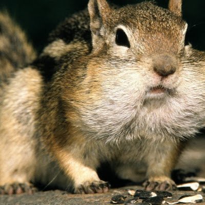 TimothySkogg's profile picture. 