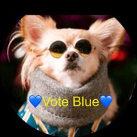 Judy 🇺🇸Save Democracy👉Vote for Democrats ONLY!(@RNjudyArizona) 's Twitter Profileg
