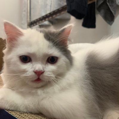 HappinessV21's profile picture. 