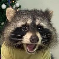 TomasMax (@tomasmax13) 's Twitter Profile