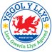 Ysgol Y Llys (@YYllys) Twitter profile photo