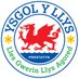 Ysgol Y Llys (@yyllys) Twitter profile photo Ysgol Y Llys (@yyllys) Twitter profile photo