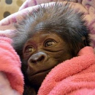 DanielAubo5053's profile picture. 