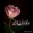 @eabdalkari20793