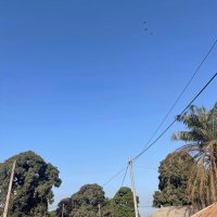 Bastrnfall (@bastrnfall) 's Twitter Profile