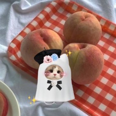 🐈⬛◞˚ₓ infj ꔛ˚K-pop • INTO1🌐ꕀ˚ 🏷6DPP🍑🍉 യ 3bearsoskepat🐻ꔛ⁺⋆◞⟢. writer ꒰@beyourlovelymm꒱ ||| 📍🇹🇭