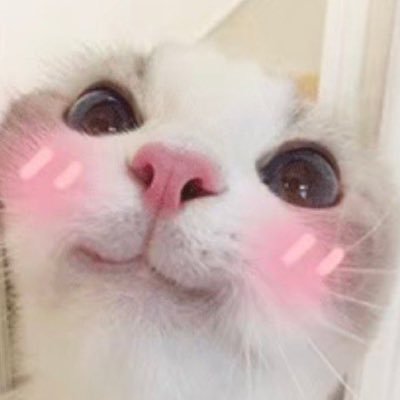 โจวมิมิ ◡̎ 🌷さんのプロフィール画像