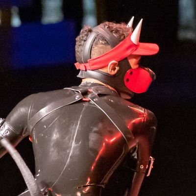 Magnusaurus 🦖 👑さんのプロフィール画像