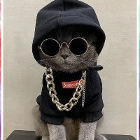 Pucki (@puckieuw) 's Twitter Profile Photo Pucki (@puckieuw) 's Twitter Profile Photo