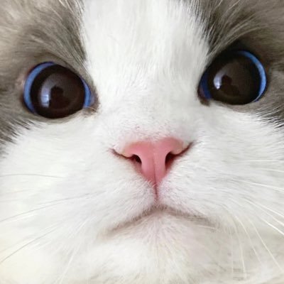 kkv010032215539's profile picture. 