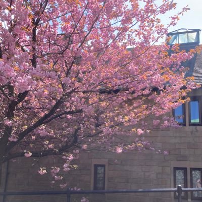 amandaparrellx1's profile picture. 