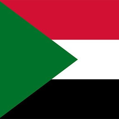 This is the Sudanese flag, and yes, I also stand with Palestine🇵🇸