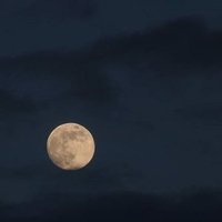 alzahra (@4_zhrr) 's Twitter Profile