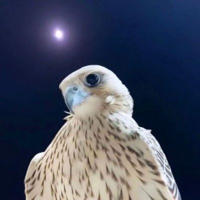 y_7bv's profile picture. 𝟸𝟸 / 𝚓𝚞𝚗 🎈.