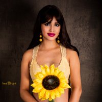 AA Photography; Framed By Ashraf (@framedbyashraf) 's Twitter Profile