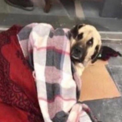 alperduranoglu9's profile picture. 