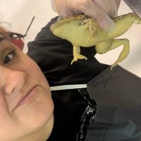 Patsy C. Montiel (@pcm_25) 's Twitter Profile