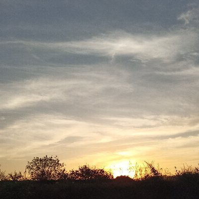 Haokhotinthong's profile picture. 